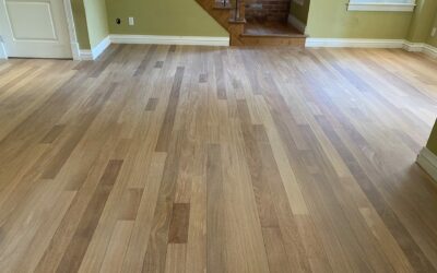 LES PARQUETS EN BOIS EXOTIQUE À SAINTE JULIE, QUELLES SONT LES OPTIONS ?
